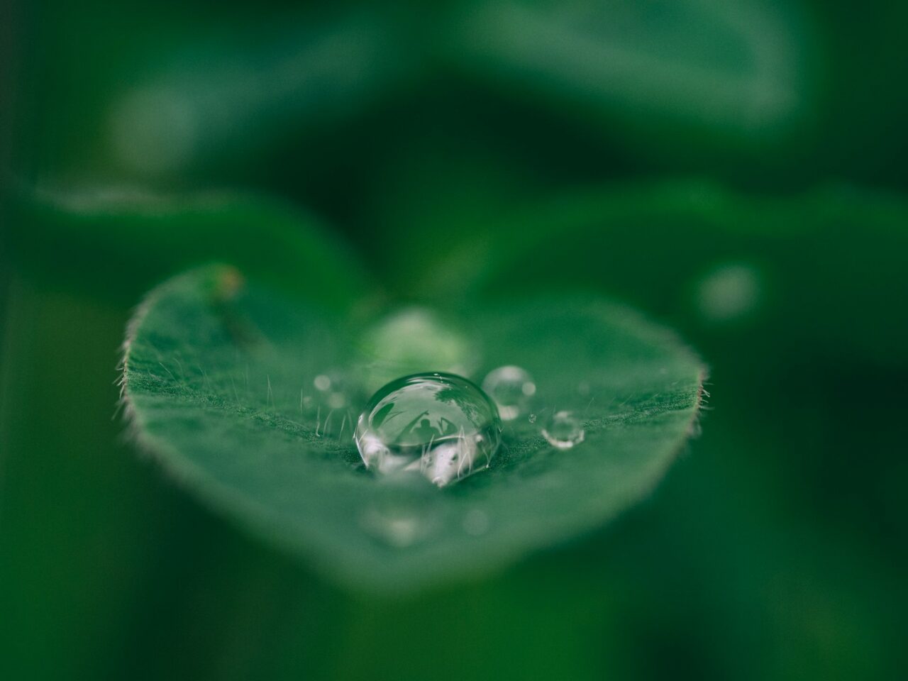 Clarity AI Acquires Sustainability Fintech ecolytiq